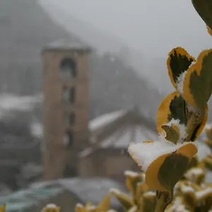 El Forn Pensión Beget